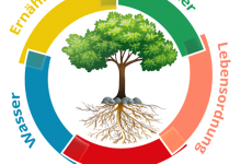 Kneippscher Bildungsurlaub 2026